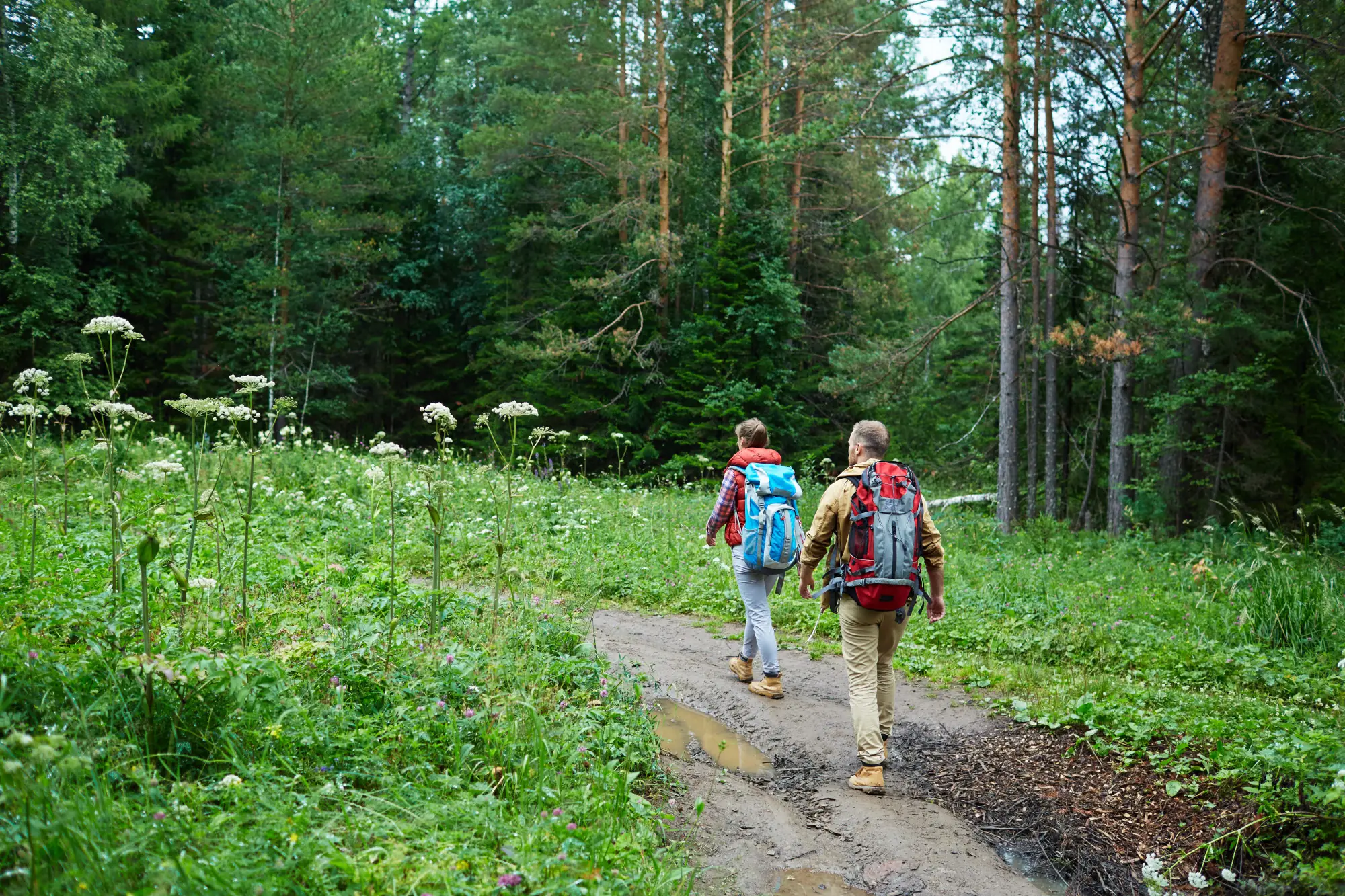 Kontakt z przyrodą jako terapia