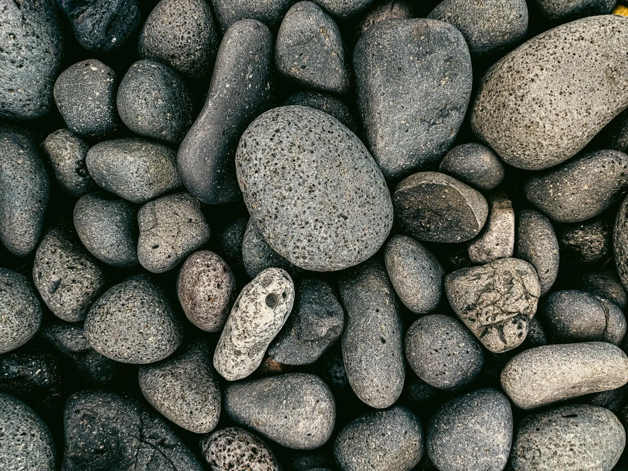 Dostrojenie terapeutyczne do osoby neuroatypowej